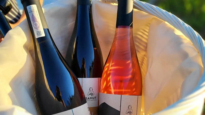 Solaris 2022 – wino białe, półwytrawne